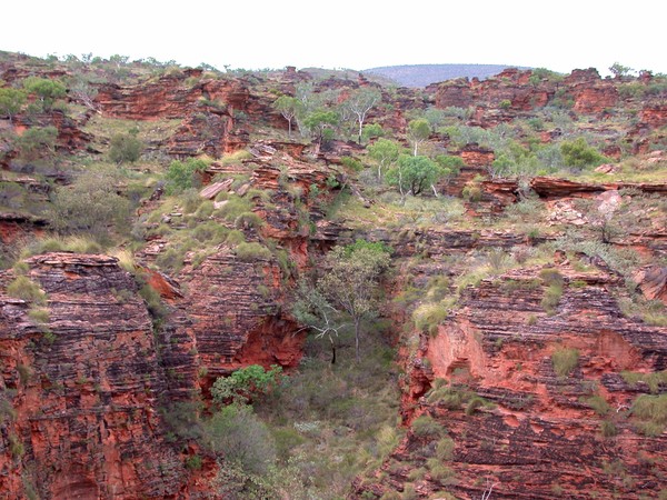 Mirima NP
